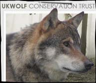 UK Wolf Conservation Trust