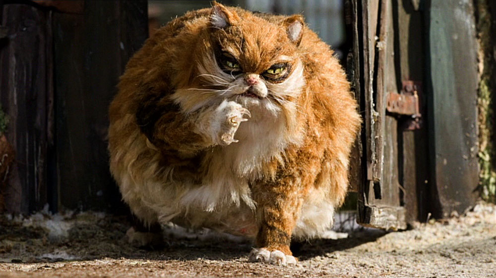 Peter and the Wolf (Music) TV Tropes