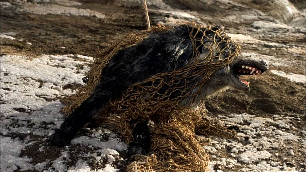 Peter and the Wolf Still