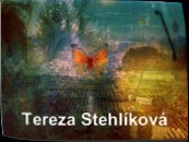 Tereza Stehlikova link